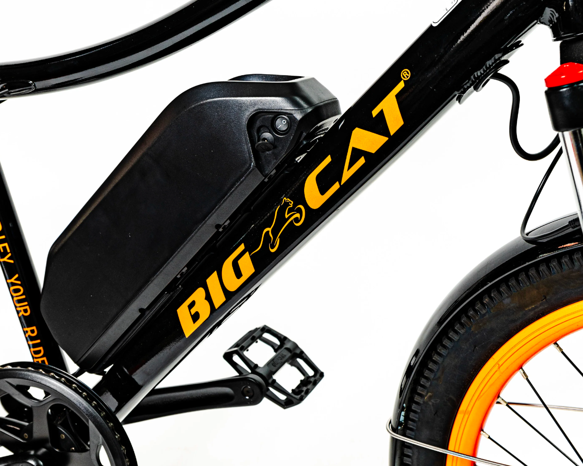 BIG CAT® Wild Cat 500- (Electric Mountain Bike)