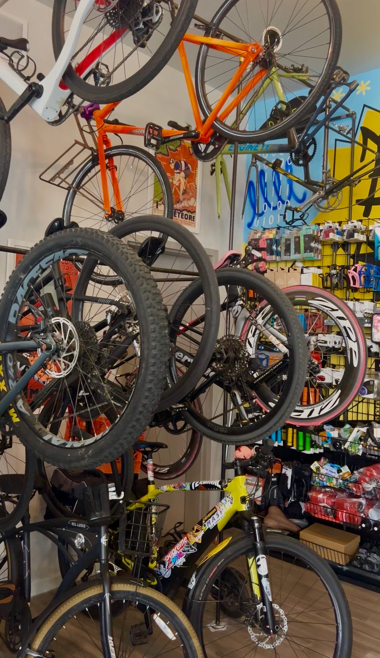 6 Month Bike Storage + Essential Tune