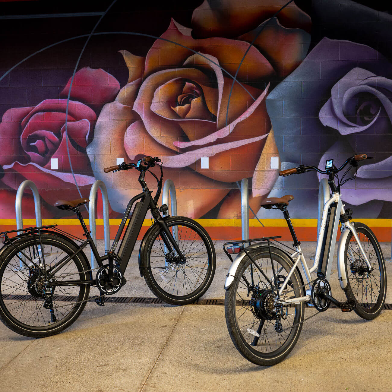 Shop Favorites (Bikes & E-Bikes)