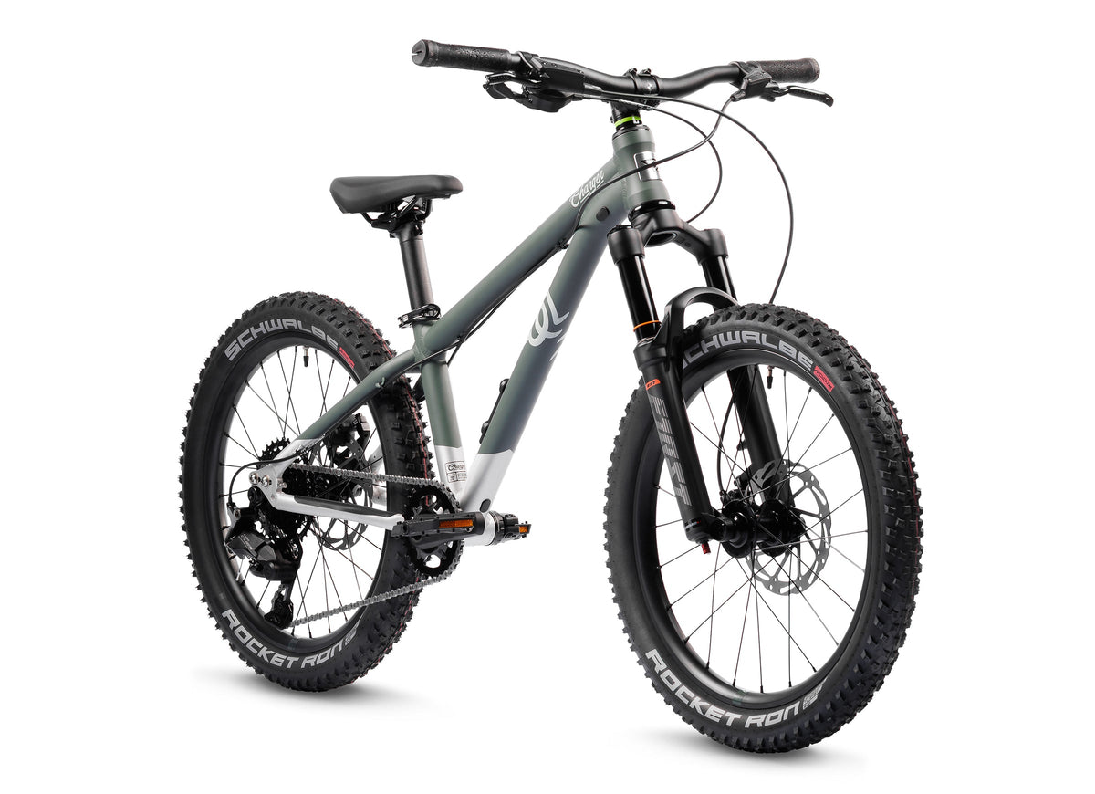 Early Rider Charger 20 kids bike in Forest Green/Brushed