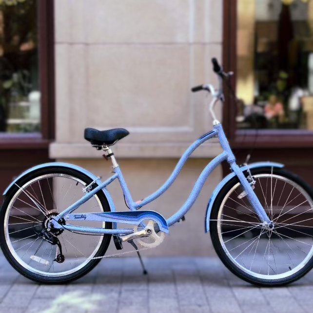 Cruiser Rental