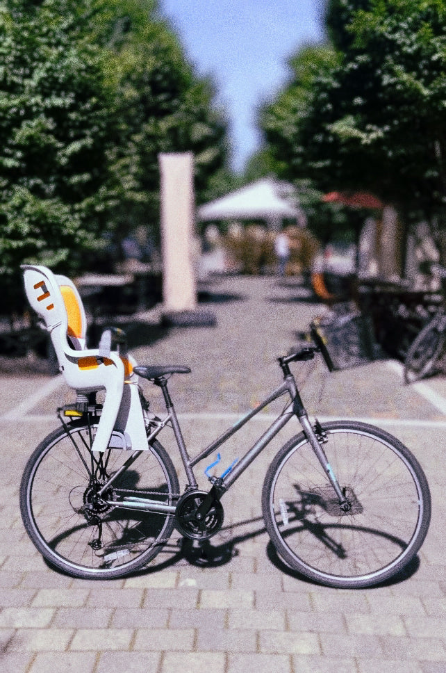 Standard Bike & E-Bike Assembly