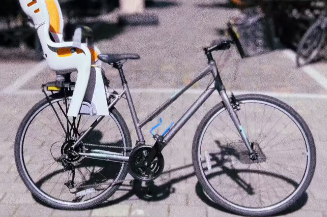 Bike w/ Baby Seat Rental