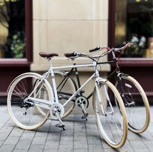 Adult Bicycle Assembly