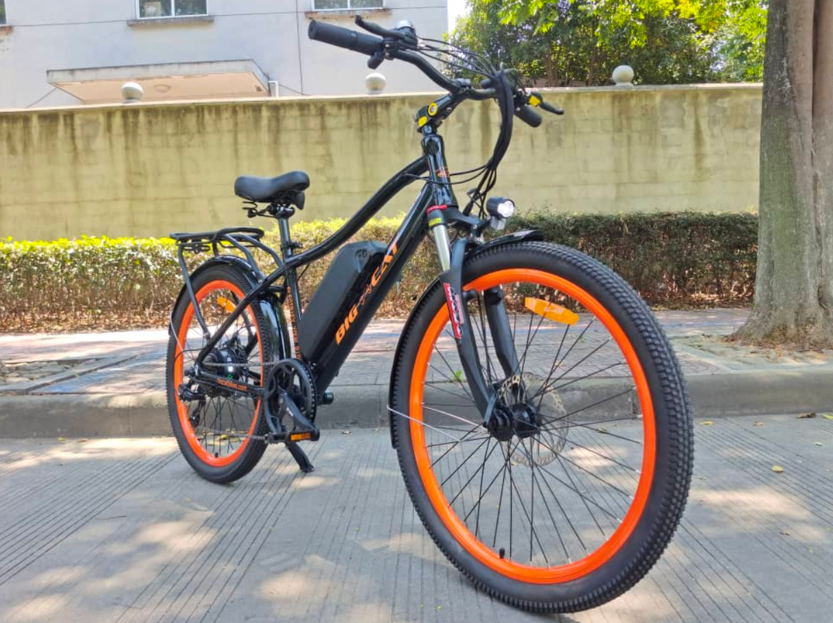 BIG CAT® Wild Cat 500- (Electric Mountain Bike)