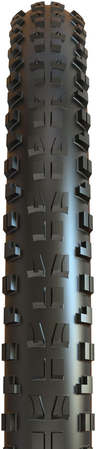 Maxxis Minion DHF Tire