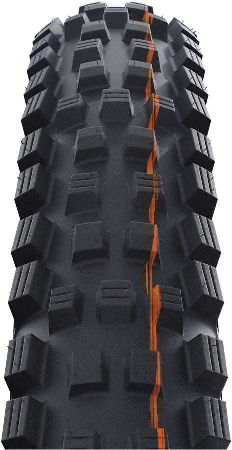 Schwalbe Magic Mary Tire