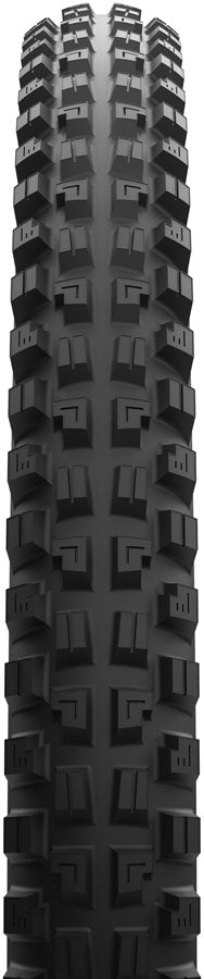 Maxxis Minion DHX Tire