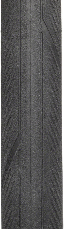 Schwalbe Energizer Plus Tire