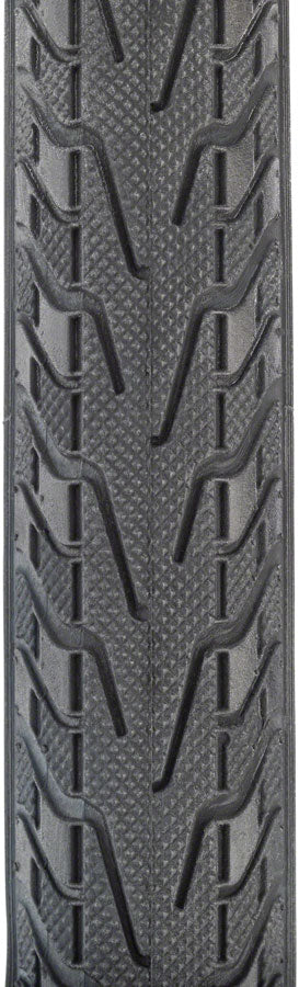 Panaracer Pasela Tire