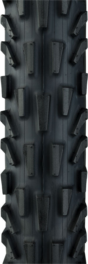 Panaracer Dart Tire