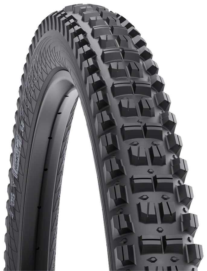 WTB Judge SG1 Tire