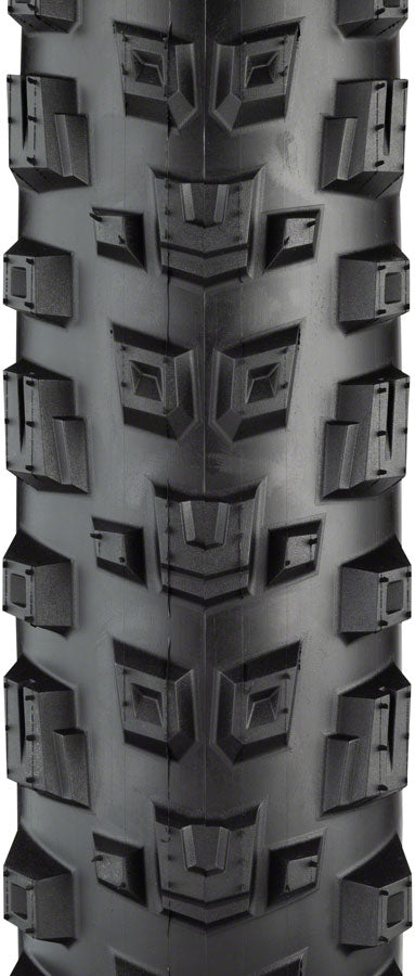 Teravail Warwick Tire