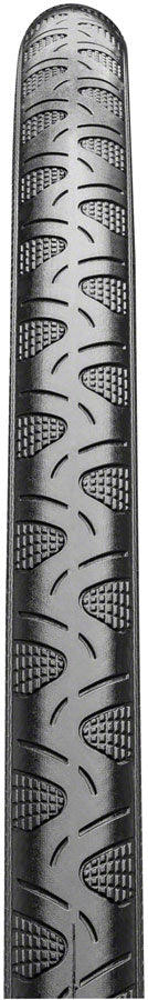 Continental Grand Prix 4-Season Tire