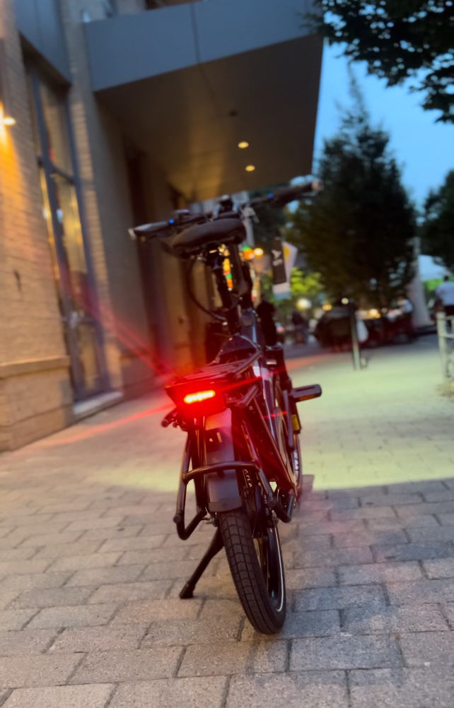 Standard Bike & E-Bike Assembly