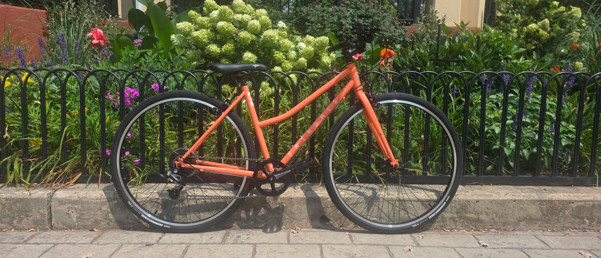 Rental bike at The Jersey City Bicycle Company