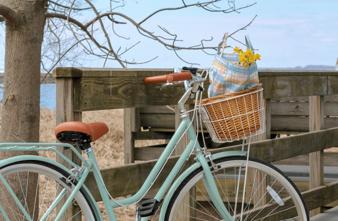 vintage style womens bicycle Ladies Classic 7-Speed Bike Sage Reid Bikes rear rack Raleigh Estelle Classic "Ladies Bicycle