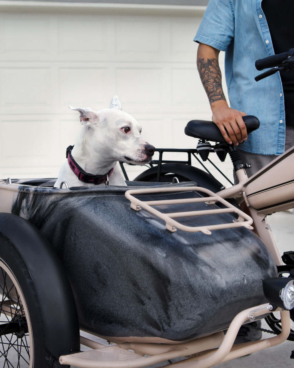 MOD Easy SideCar Sahara