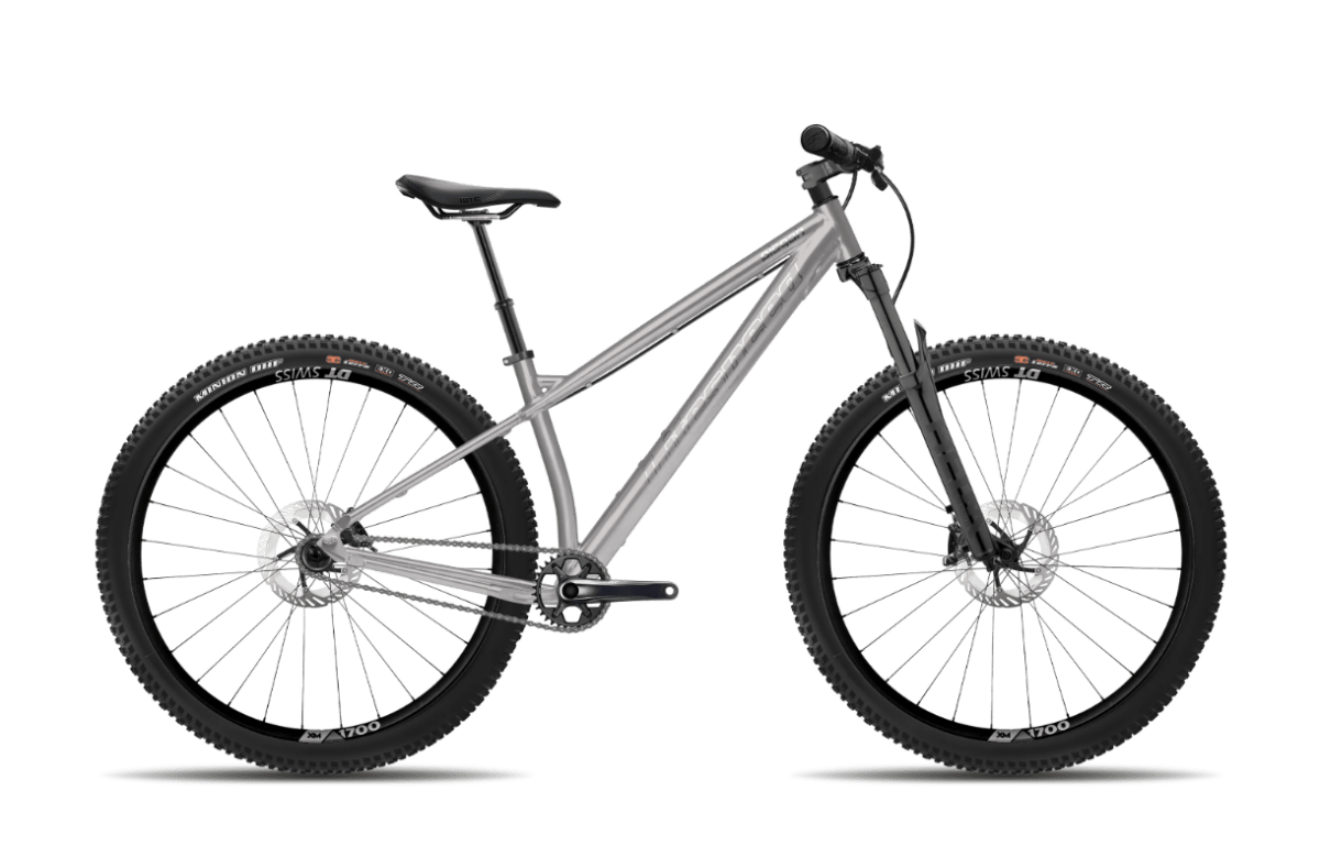 Litespeed Pisgah Single Speed